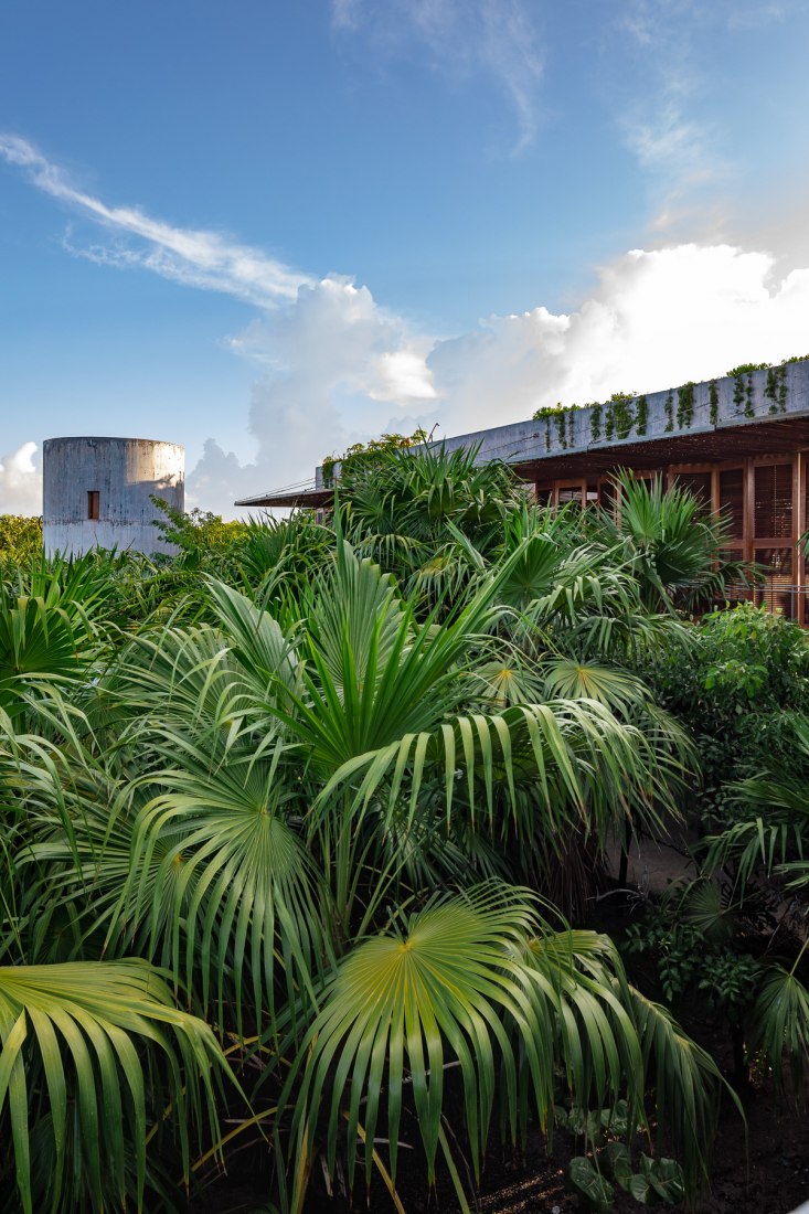 Bautista House by Productora. Photograph by Onnis Luque