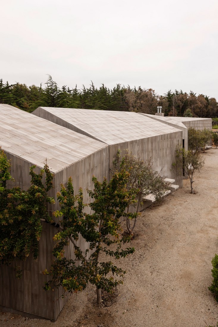 Casa Bahía Azul, Pabellón de Cuatro Usos por Felipe Assadi y Francisca Pulido. Fotografía © Fernando Alda.