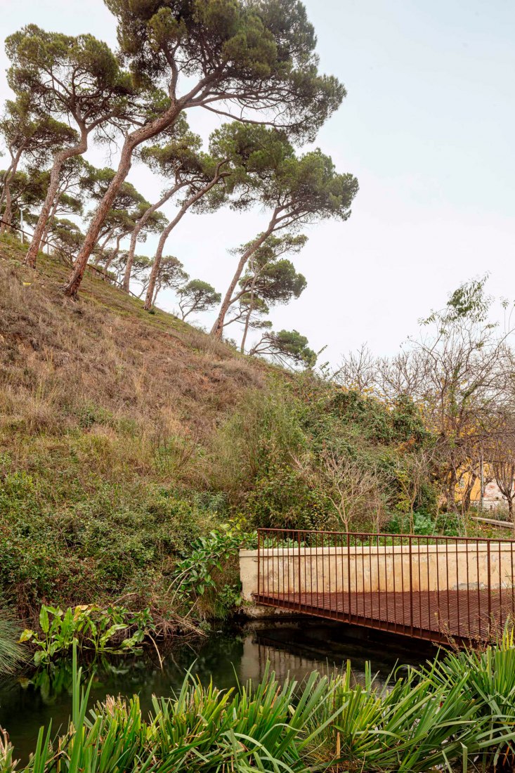 Environmental restoration of the surroundings of the Rec Comtal in Vallbona. Biodiversity viewpoints by Carles Enrich i Giménez. Photograph by Carles Enrich Studio.