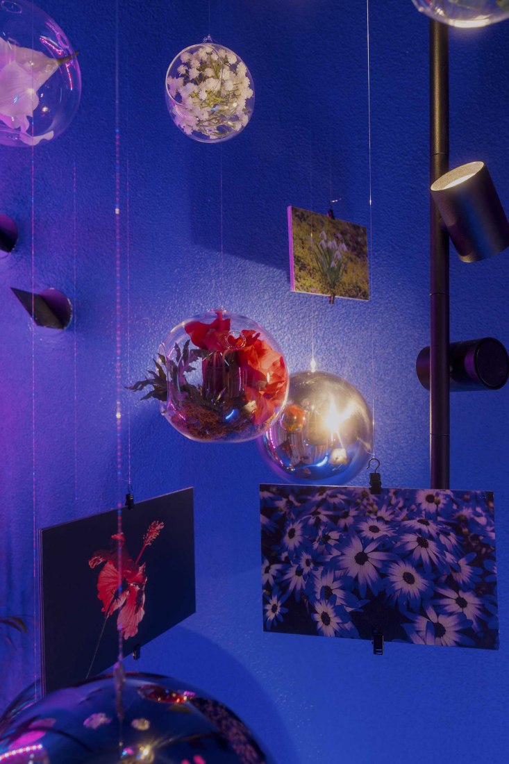 A world of many worlds by elii. Photograph by Imagen Subliminal