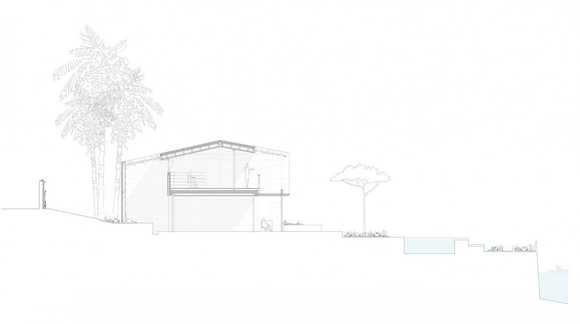 Section. Catamaran House by Eneseis and CODA Arquitectura.