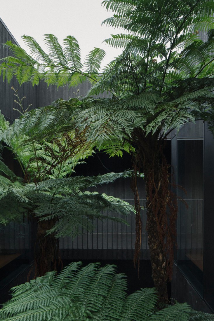 Casa Federal por Edition Office. Fotografía por Ben Hosking
