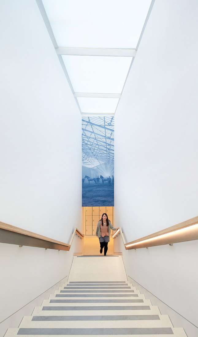 Top-lit stairs of the Harley Gallery by Hugh Broughton Architects. Photograph © Hufton Crow.s de la Galería Harley por Hugh Broughton Architects. Fotografía © Hufton Crow.