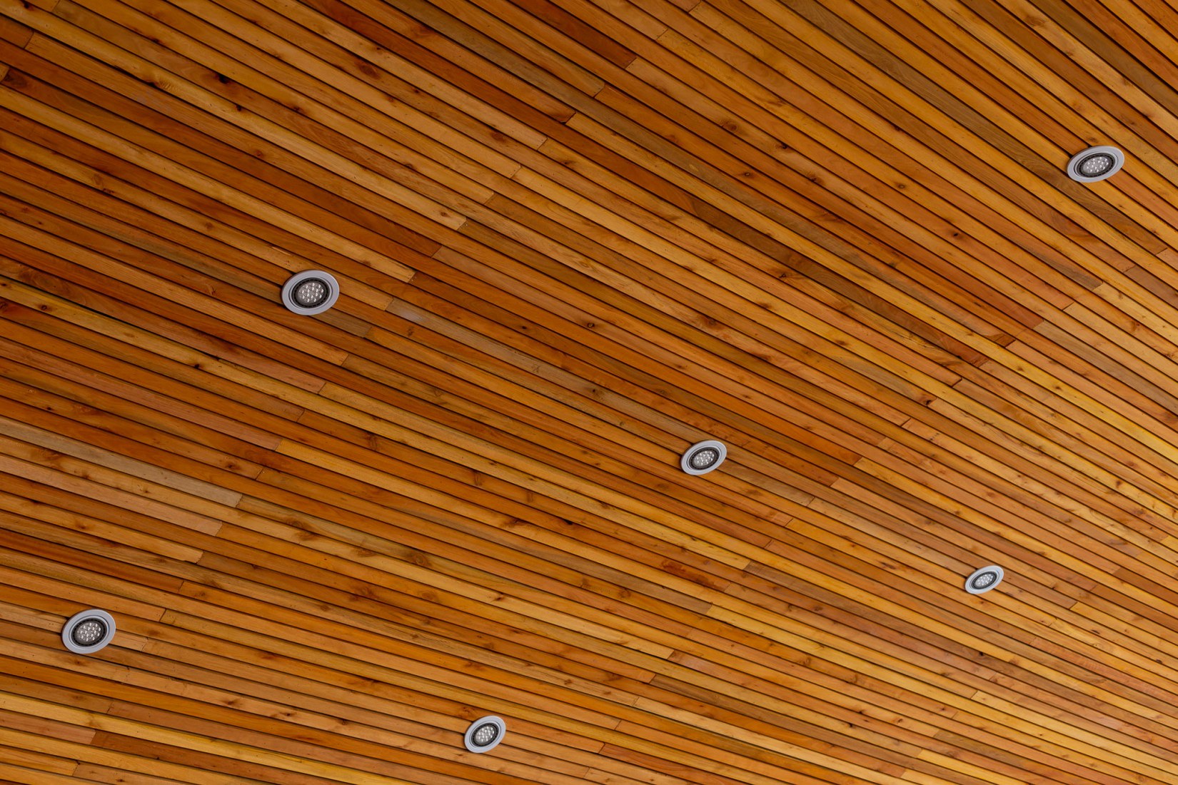 Multipurpose Hall. Santa Fe Surveyors Professional Association by Irigoyen Navarro Arquitectos. Photograph by Ramiro Sosa