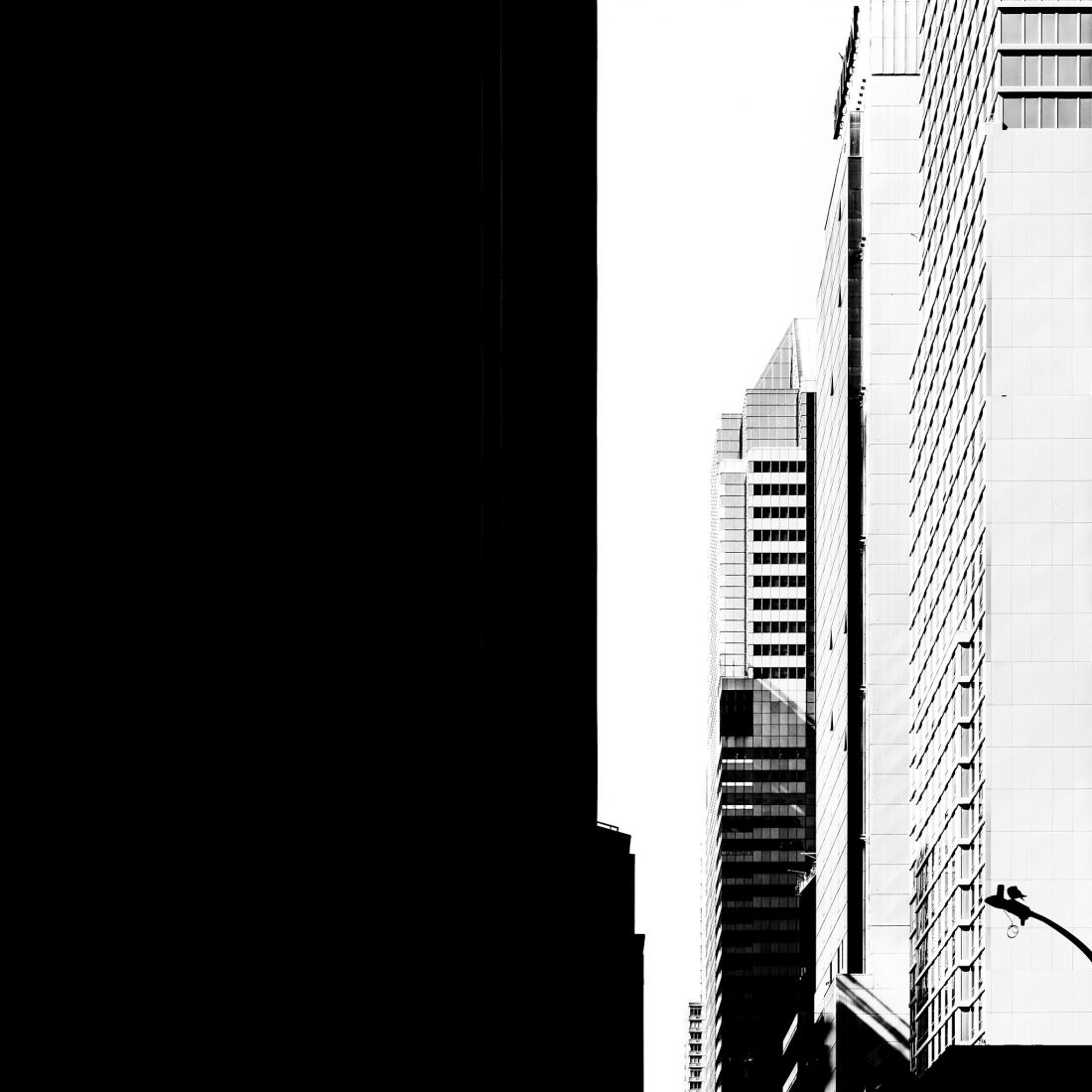 The double gaze: architectures of the void by Jose Conceptes. Photograph by Jose Conceptes.
