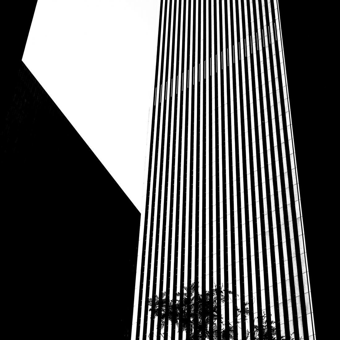 The double gaze: architectures of the void by Jose Conceptes. Photograph by Jose Conceptes.