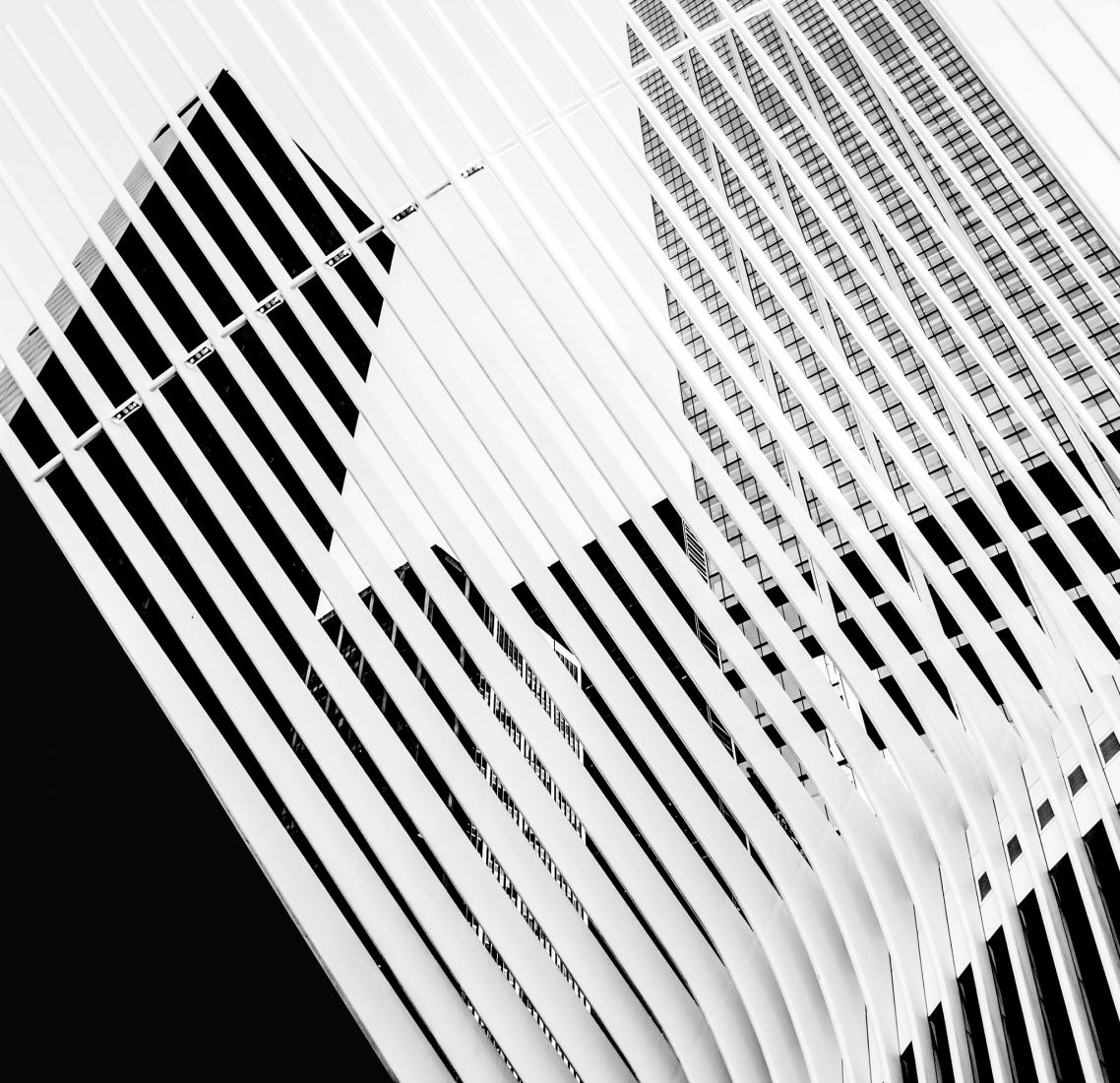The double gaze: architectures of the void by Jose Conceptes. Photograph by Jose Conceptes.