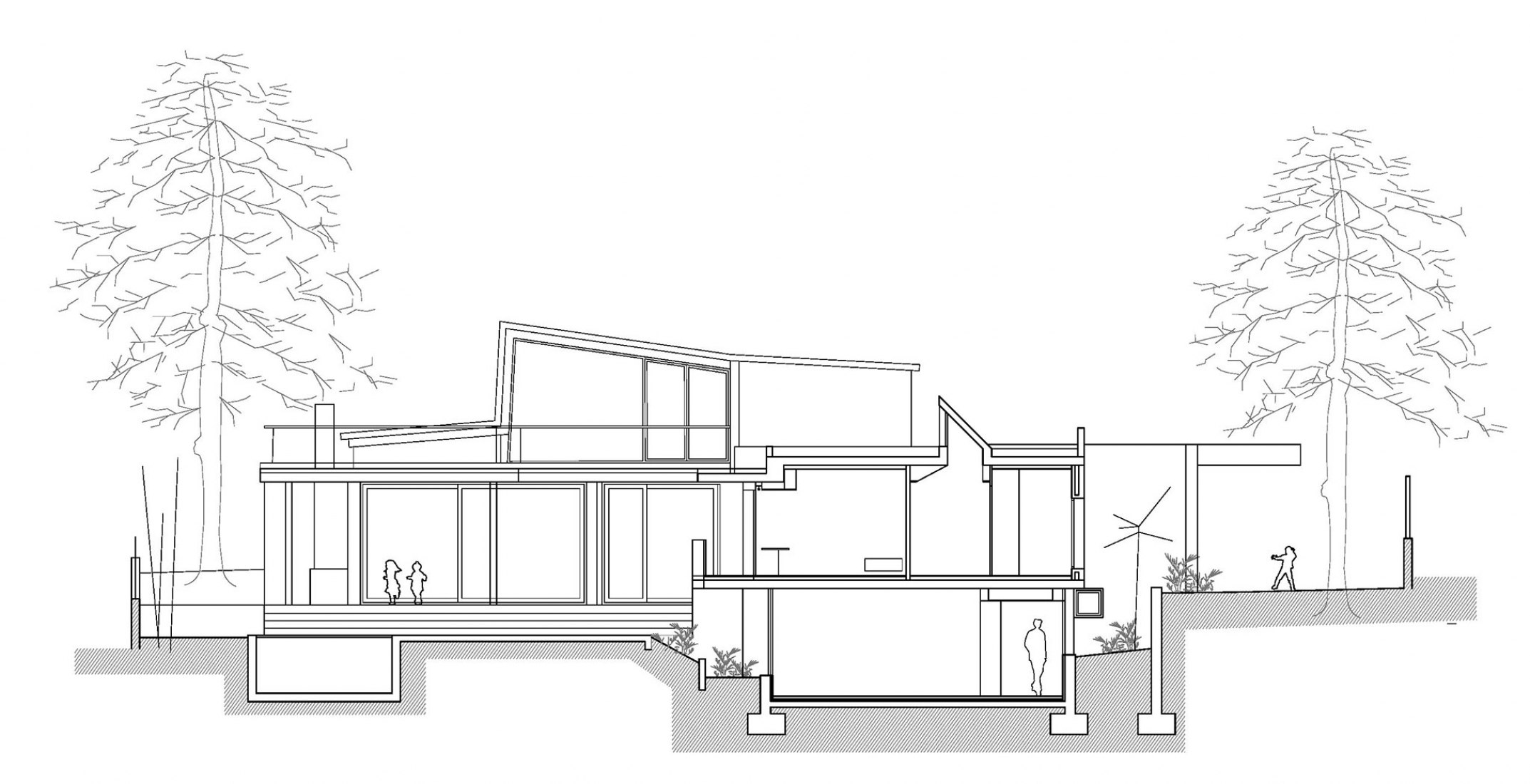 Section. Campo House by Jose Costa.