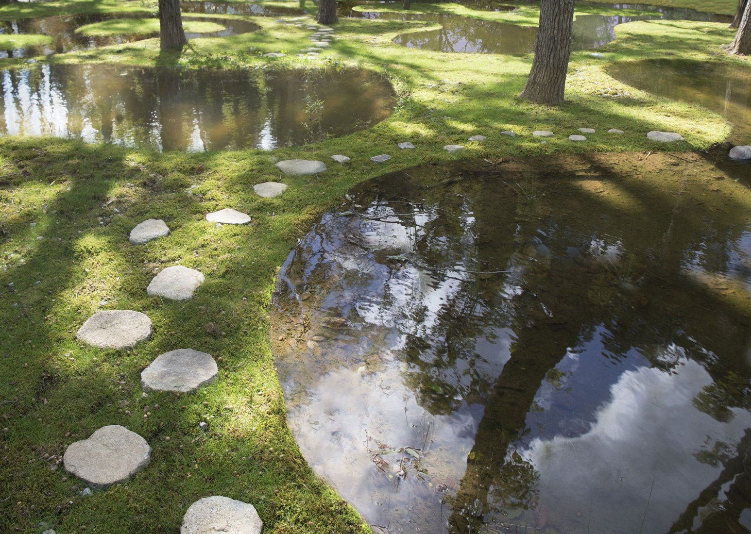 The Water Garden at the Art Biotop hotel in Japan's Tochigi prefecture by Junya Ishigami. Image courtesy ofNikissimo Inc.