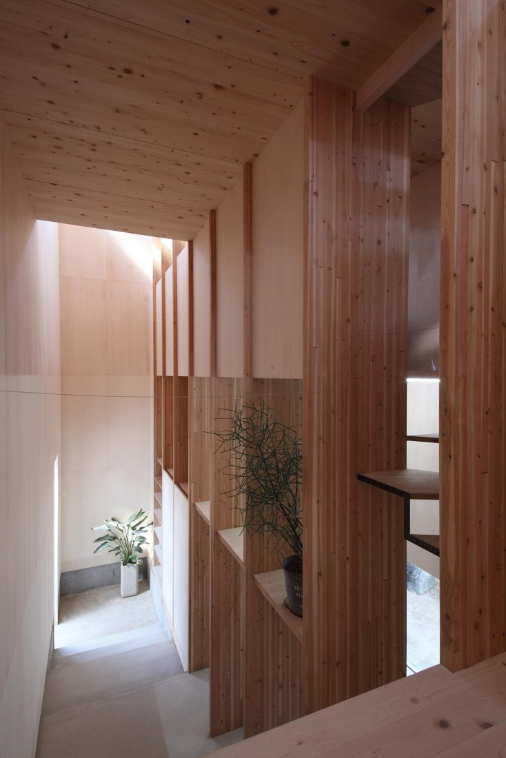 T noie house by Katsutoshi Sasaki + Associates. Photograph by Katsutoshi Sasaki + Associates