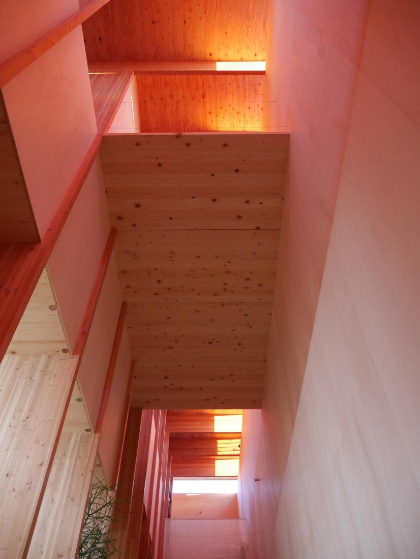 T noie house by Katsutoshi Sasaki + Associates. Photograph by Katsutoshi Sasaki + Associates