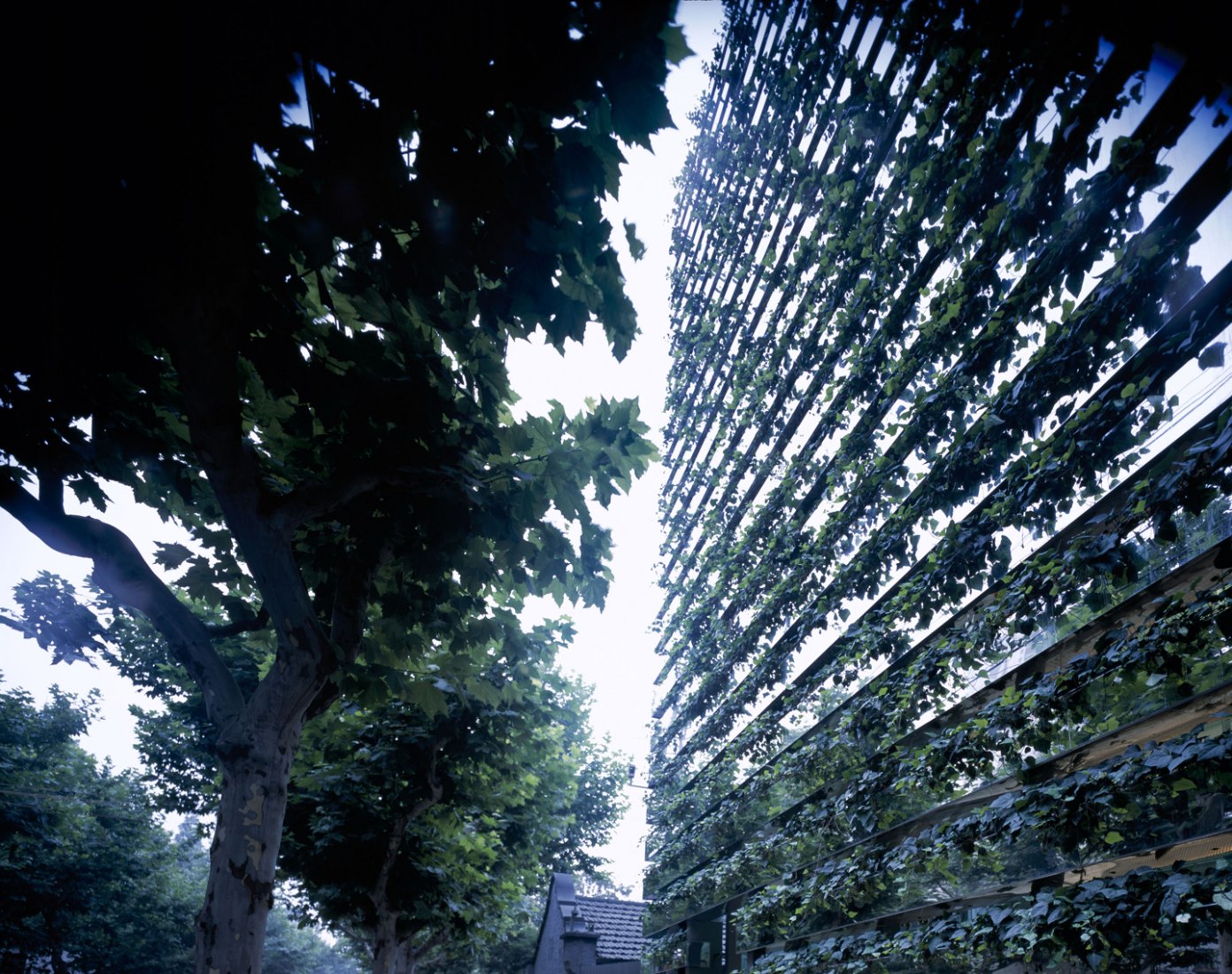 Exterior view of the facade of Z58 by Kengo Kuma. Photograph © Mitsumasa Fujitsuka. Image courtesy of Kengo Kuma and Associates.