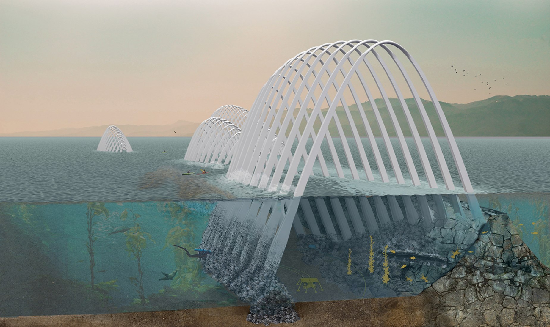 Second Prize. Cetacea. Proposal by Keegan Oneal, Sean Link, Caitlin Vanhauer, Colin Poranski 