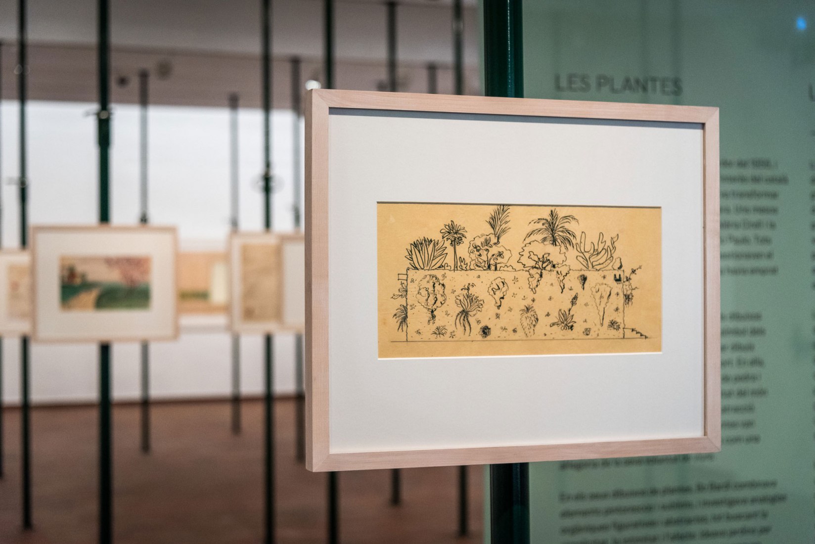 View of the installation Lina Bo Bardi Drawing in Fundació Joan Miró, 2019. Image courtesy of Fundació Joan Miró.