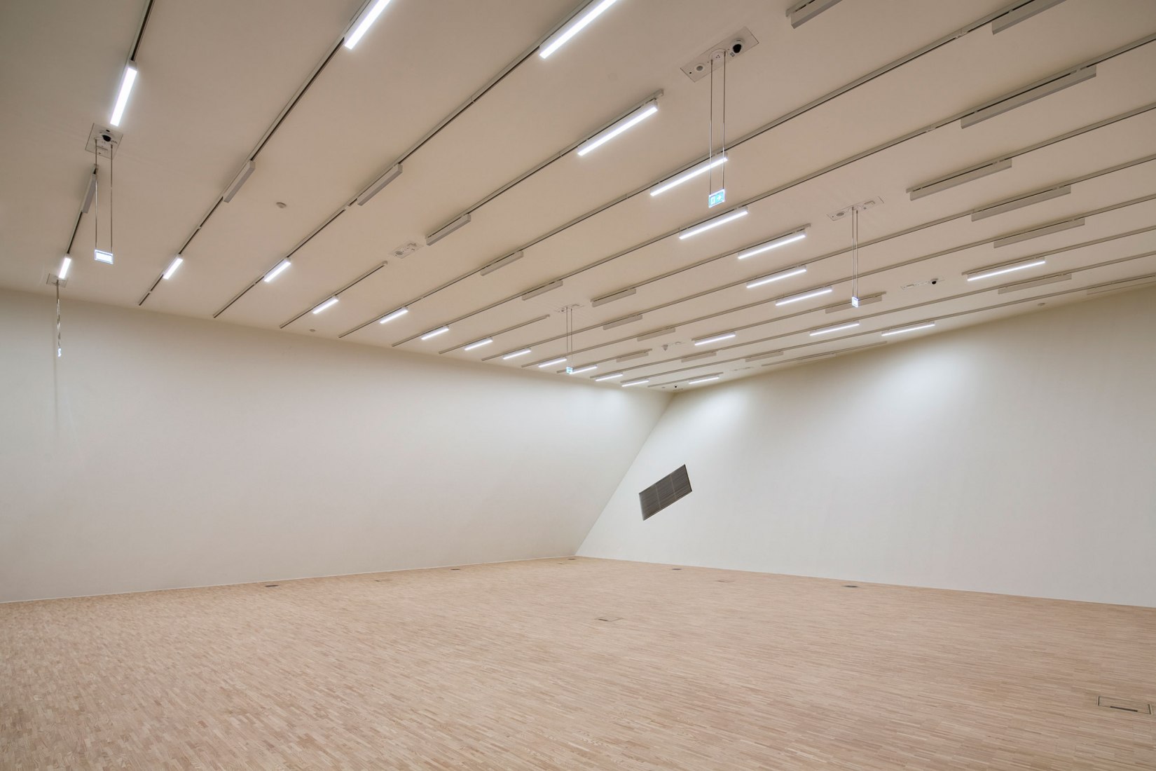 Galería Estatal de la Baja Austria por Marte.Marte Architekten. Fotografía de Faruk Pinjo.