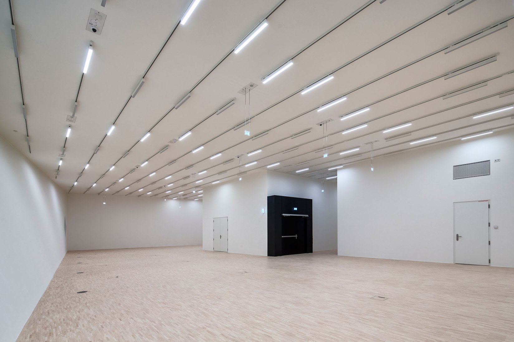 Galería Estatal de la Baja Austria por Marte.Marte Architekten. Fotografía de Faruk Pinjo.