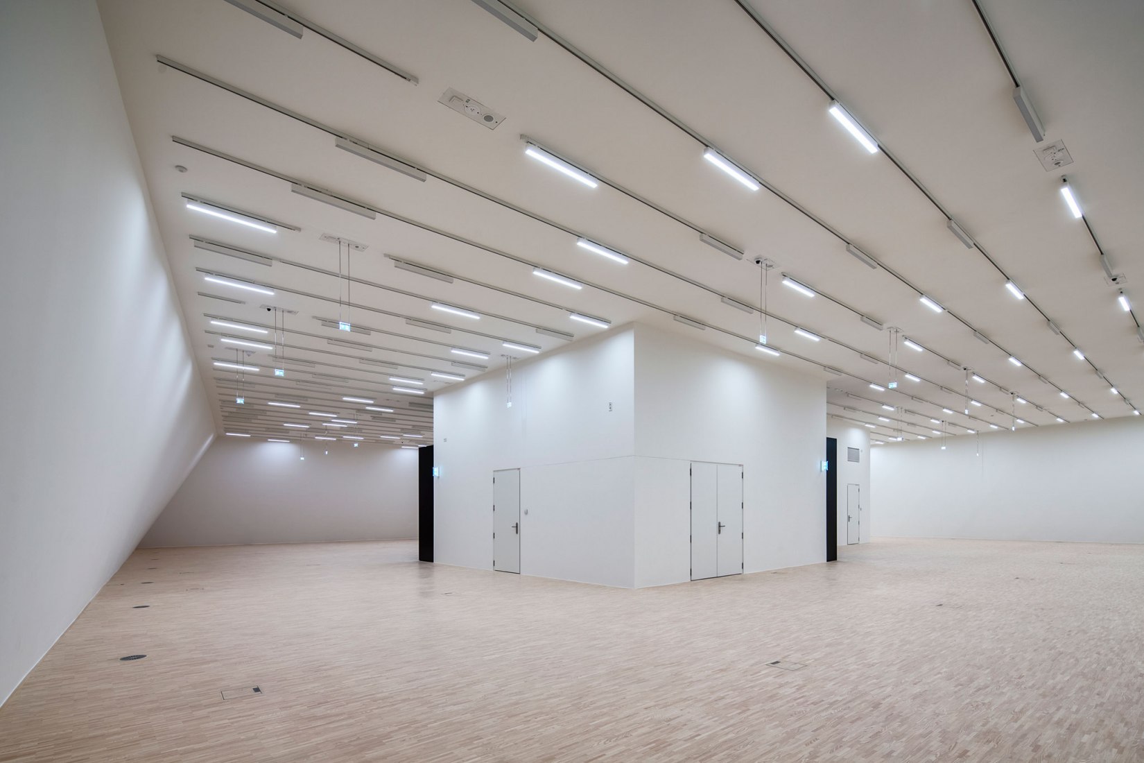 Galería Estatal de la Baja Austria por Marte.Marte Architekten. Fotografía de Faruk Pinjo.