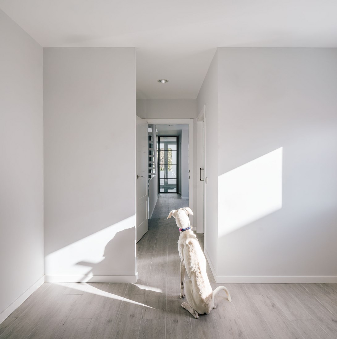 Galgo House by Murado & Elvira Arquitectos. Photograph by Imagen Subliminal.