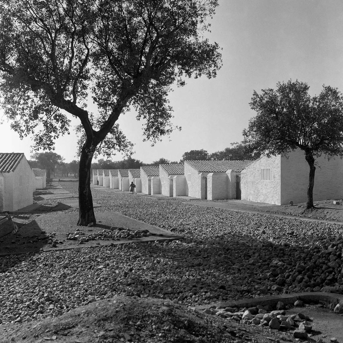 Street. Vegaviana (Cáceres), ca. 1958. Photograph by Joaquín del Palacio, Kindel. Courtesy of Heirs of Joaquín del Palacio.