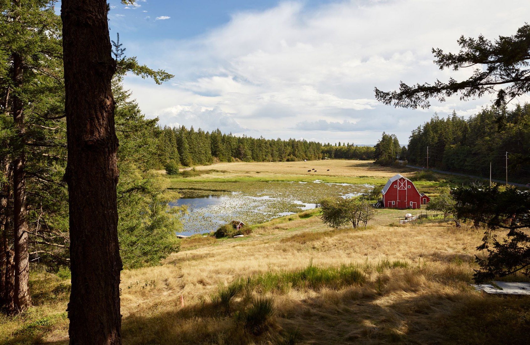 Whidbey farm by mwworks. Photograph by Kevin Scott.