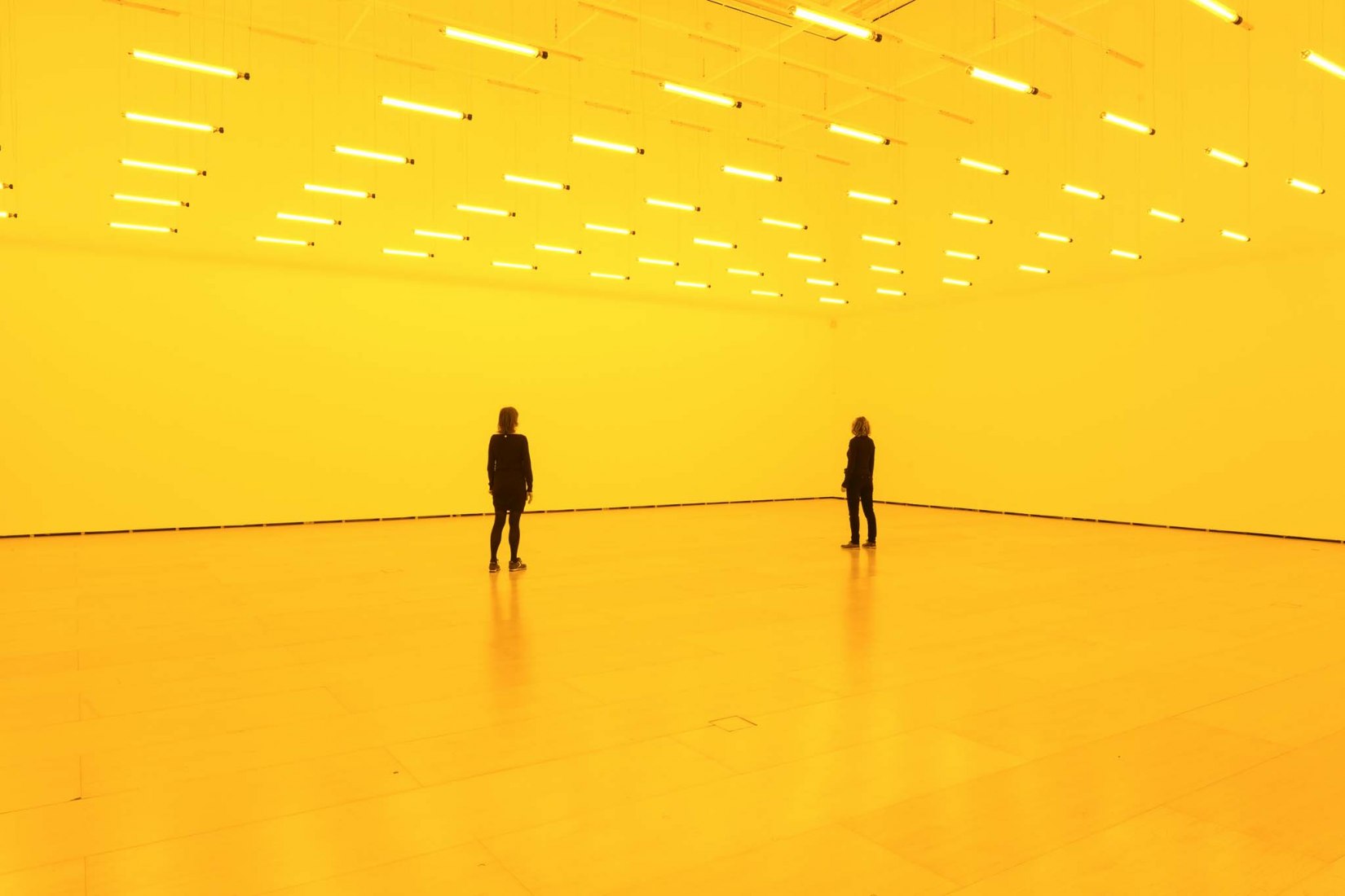 Vista de la instalación en el Museo Guggenheim Bilbao, 2020. Habitación para un color, 1997 por Olafur Eliasson. Lámparas monofrecuencia. Dimensiones variables. Fotografía por Erika Ede / Neugerriemschneider, Berlín; Tanya Bonakdar Gallery, Nueva York / Los Ángeles.