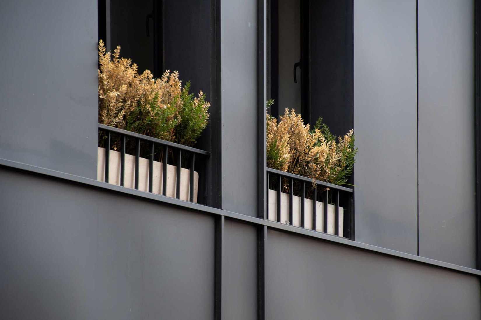 Larrañaga 92 offices by PSV Arquitectura. Photograph by Gonzalo Viramonte