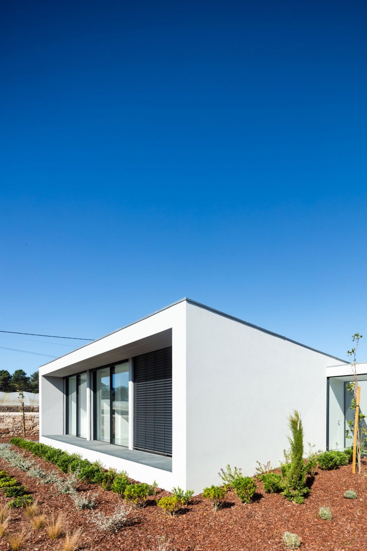 Canine & Feline Hotel by Raulino Silva Arquitecto. Photograph by João Morgado