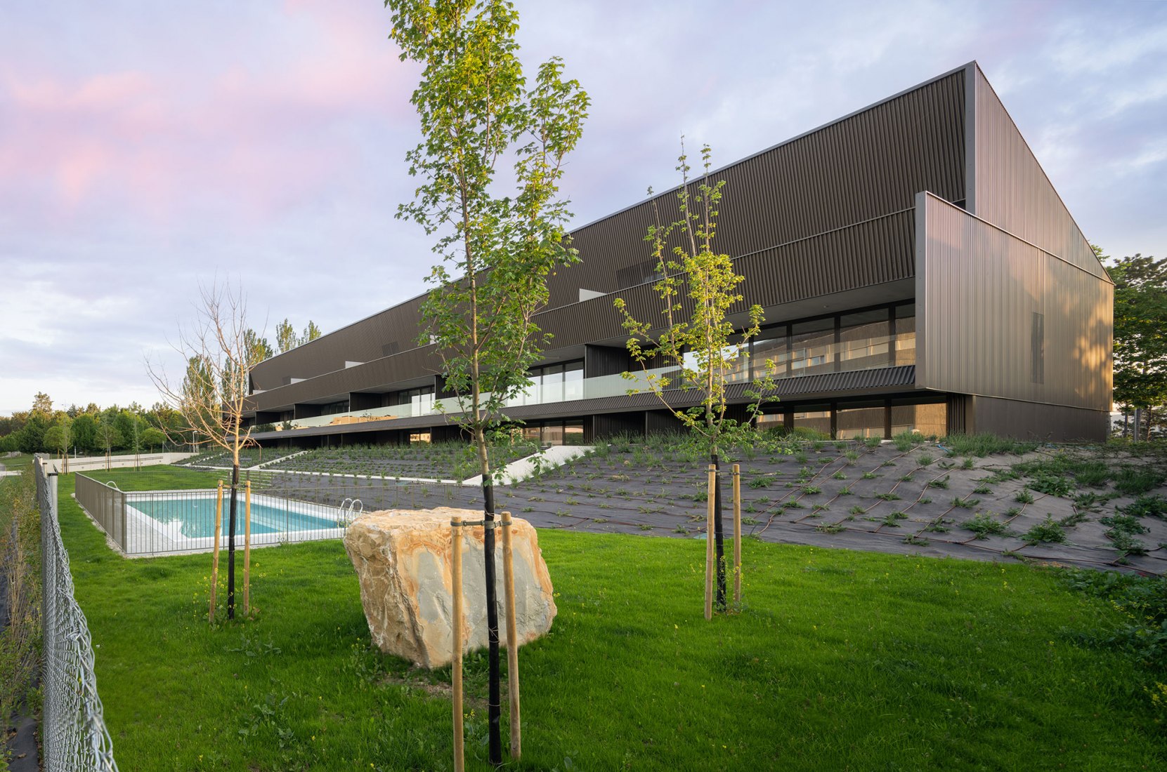 Housing in the woods by Vaillo+Irigaray Architects. Photography by Rubén Pérez Bescós.