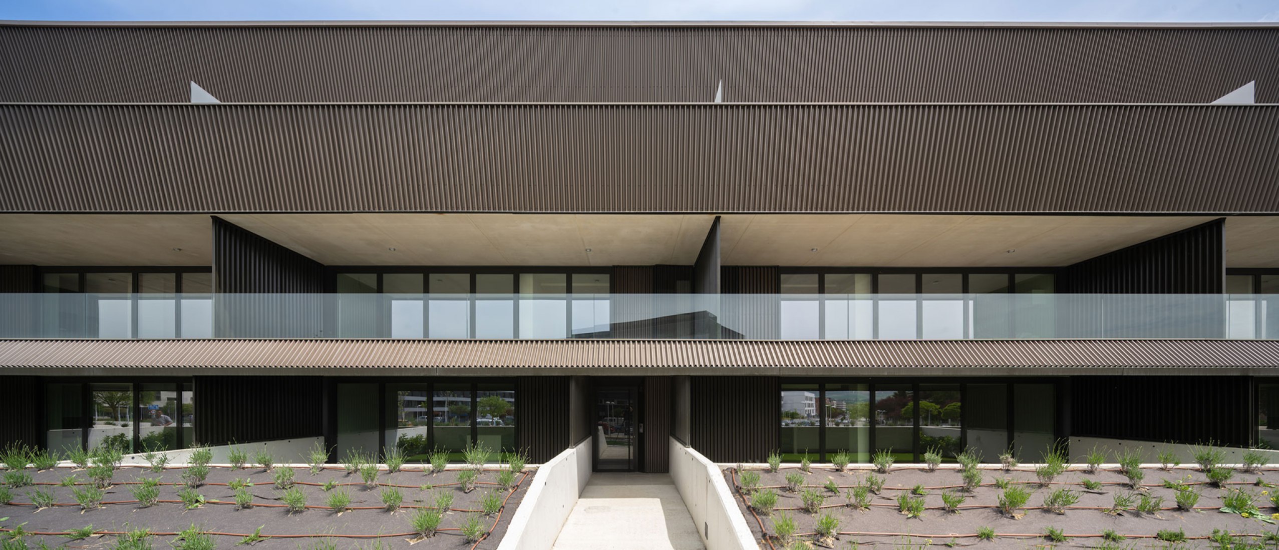 Housing in the woods by Vaillo+Irigaray Architects. Photography by Rubén Pérez Bescós.