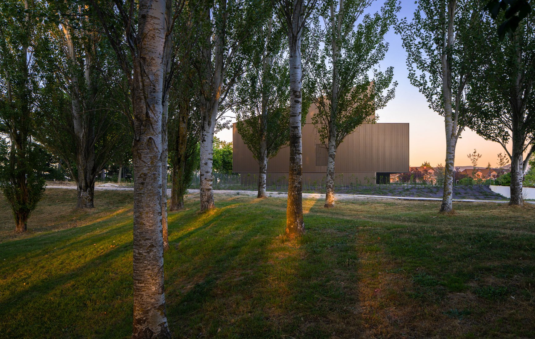 Housing in the woods by Vaillo+Irigaray Architects. Photography by Rubén Pérez Bescós.
