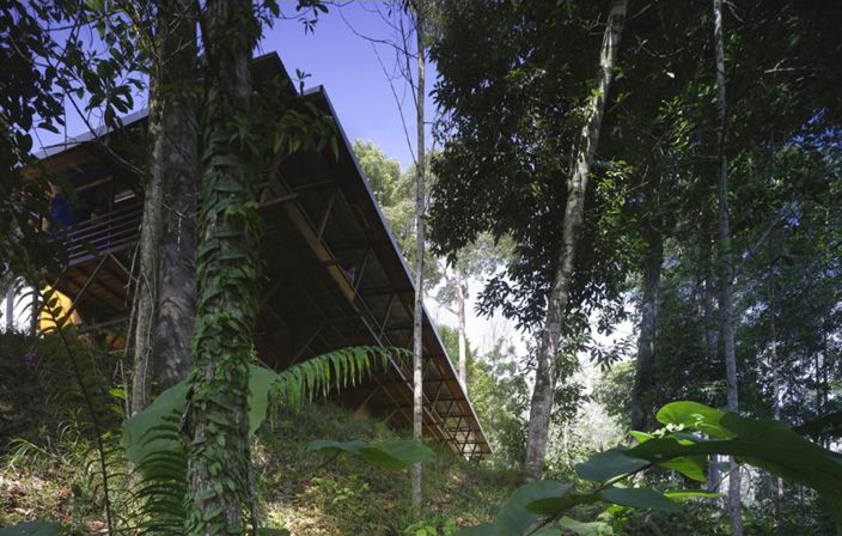 Shelter@Rainforest, por Marra+Yeh Architects. Architectural Review.