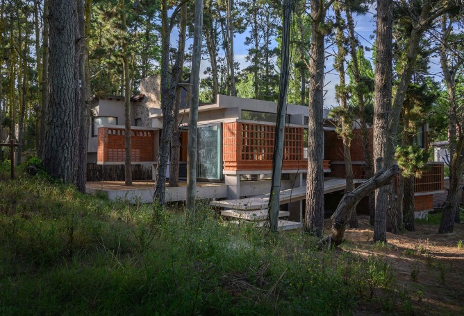 Forest Fruit House by Barrionuevo Villanueva Arquitectos. Photograph by Gonzalo Viramonte.  