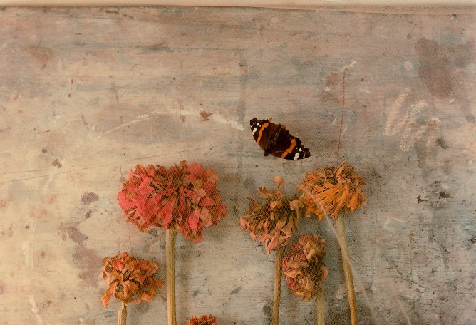 Naturaleza muerta núm. 123, 1986. Copia giclée, 2024. Fotografía por Tony Catany. Cortesía de Sala Parés.