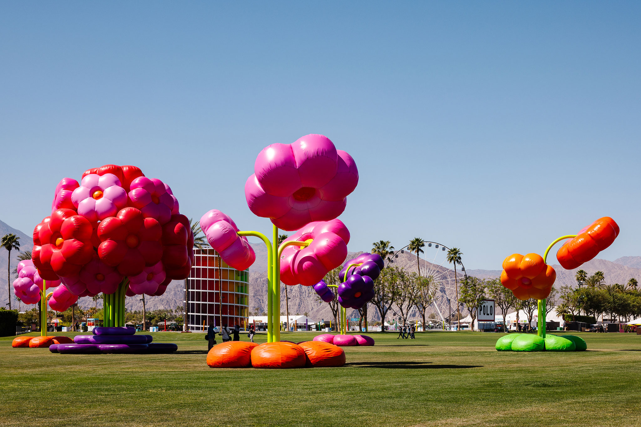 Mutant Landscapes Coachella 2025 A Sensory Oasis That Emerges 