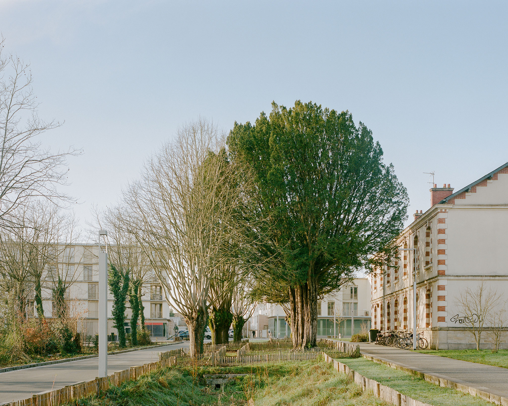 elemento-urbano-de-transici-n-81-viviendas-por-ramdam-palast-metalocus