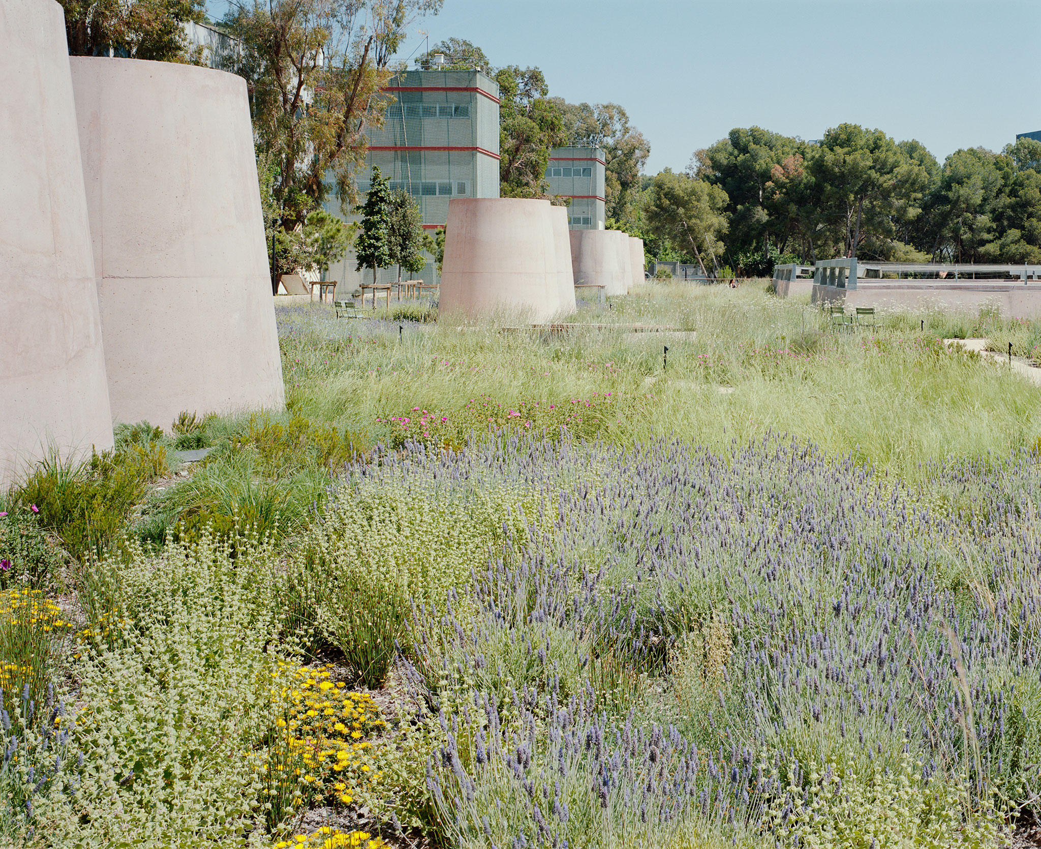VHIR Vall d’Hebron Campus Research Center by BAAS + ESPINET/UBACH. Photograph by Gregori Civera.
