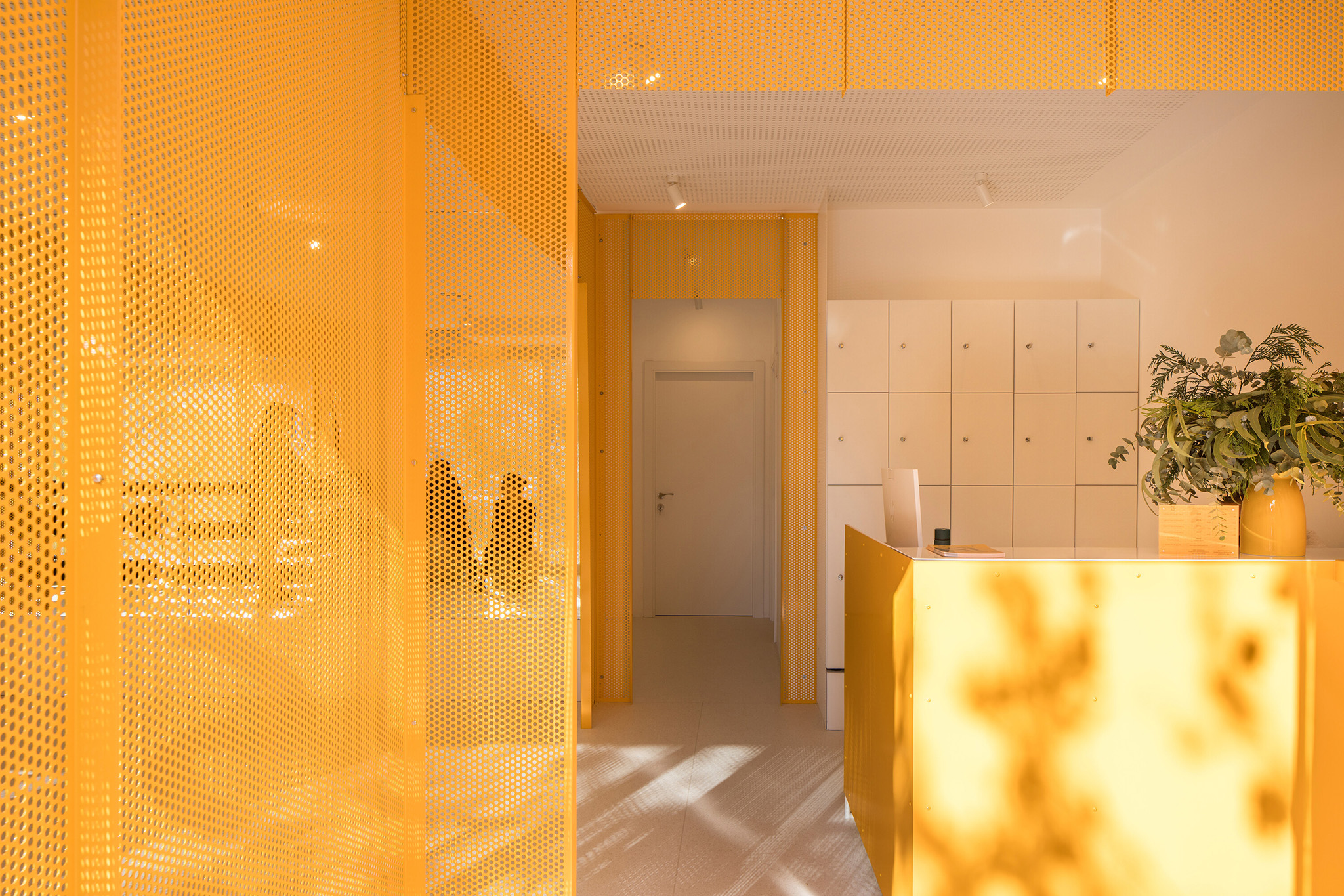 Moof Fitness Studio by Canobardin. Photograph by Imagen Subliminal.