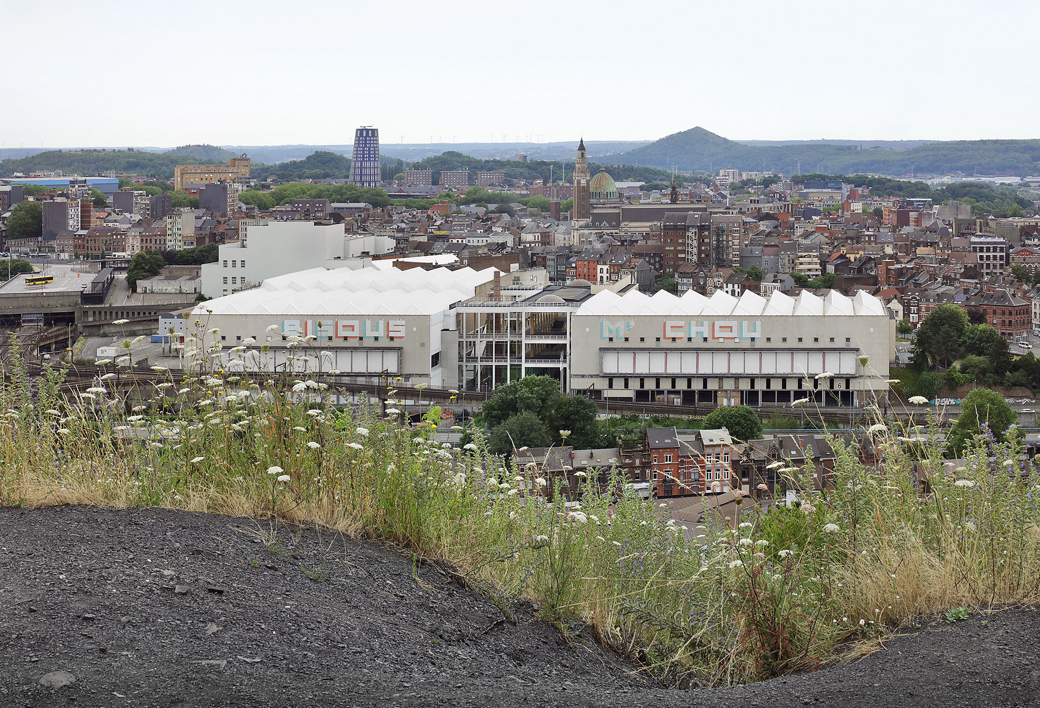 Charleroi Palais des Expositions by architecten jan de vylder inge vinck and AgwA. Photograph by Filip Dujardin.