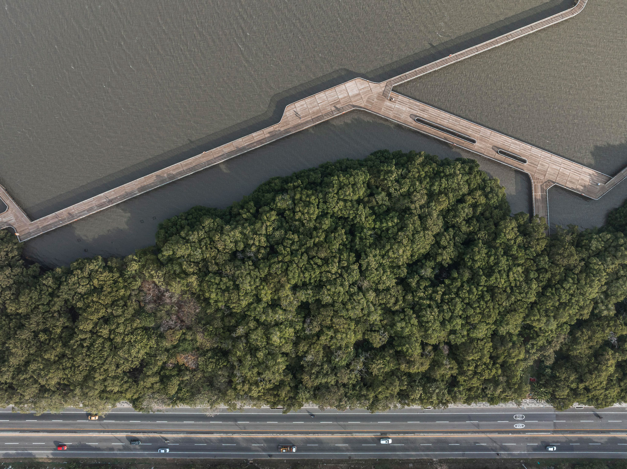 Ciénaga de Mallorquín Ecopark by DEB Architecture + El Equipo Mazzanti. Fotografía por Alejandro Arango 