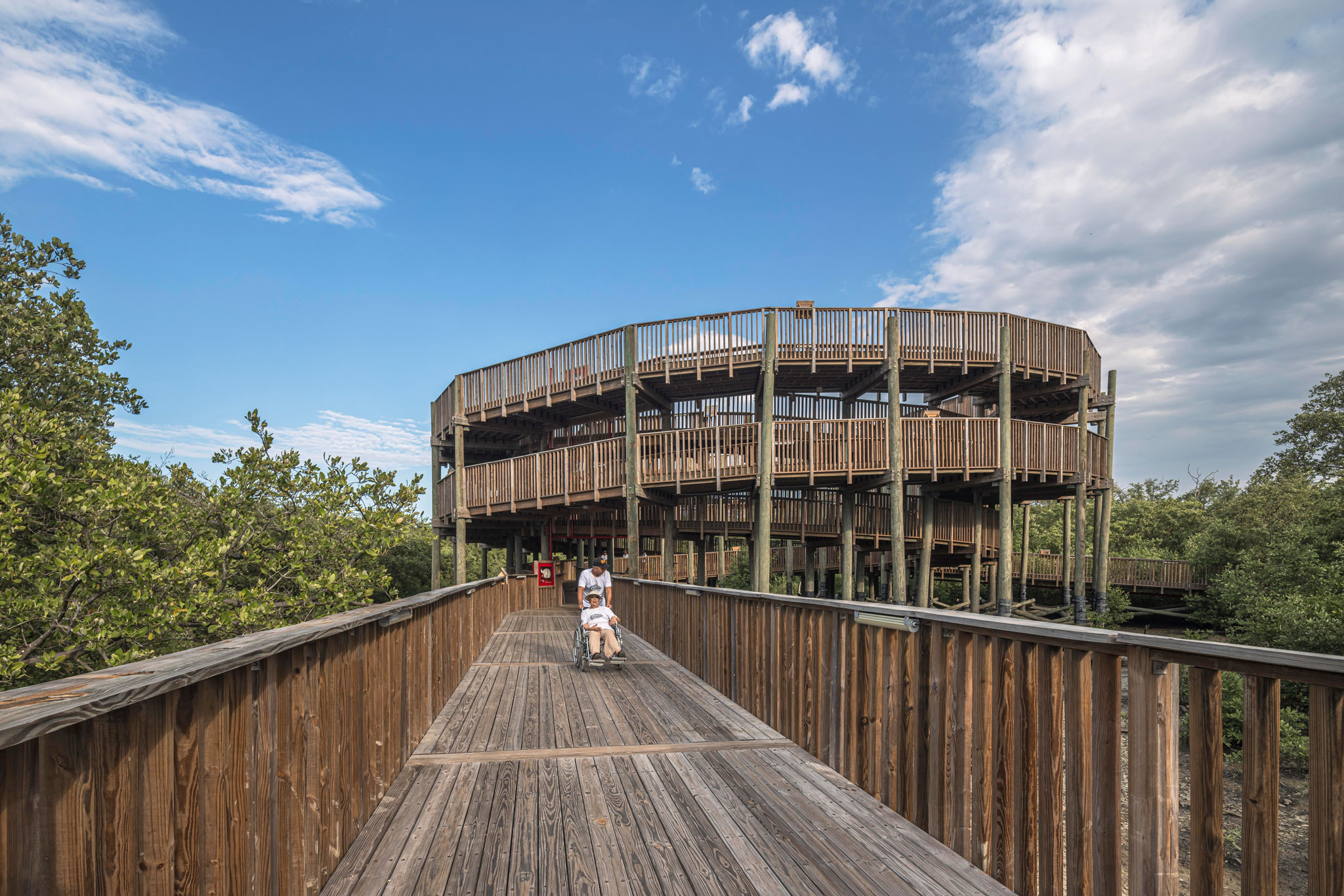 Ciénaga de Mallorquín Ecopark by DEB Architecture + El Equipo Mazzanti. Photograph by Alejandro Arango.  Ecoparque Ciénaga de Mallorquín por DEB Architecture + El Equipo Mazzanti. Fotografía por Alejandro Arango.