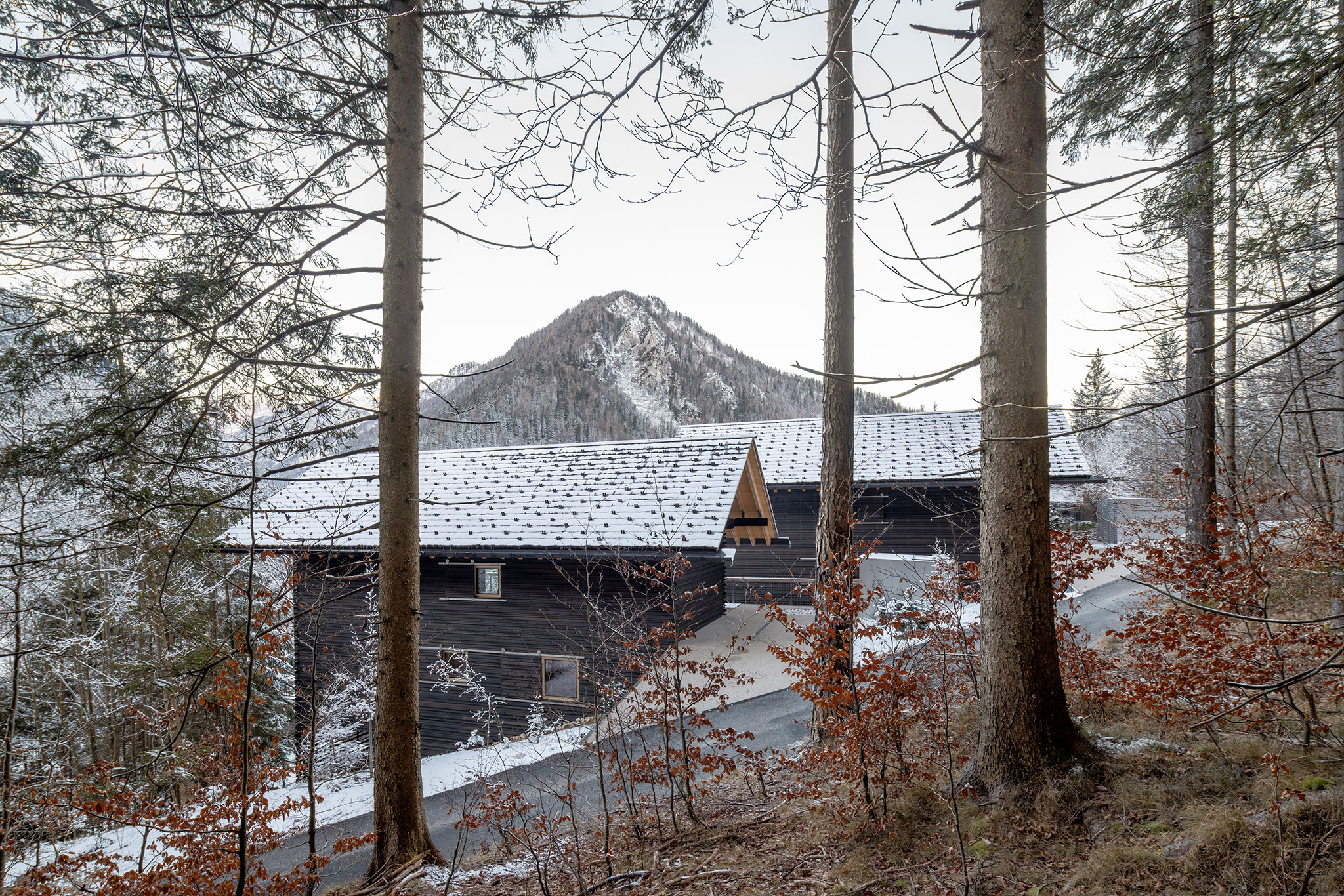 «Twin Alpine Houses» por Dekleva Gregoric Architects. Fotografía por Ana Skobe