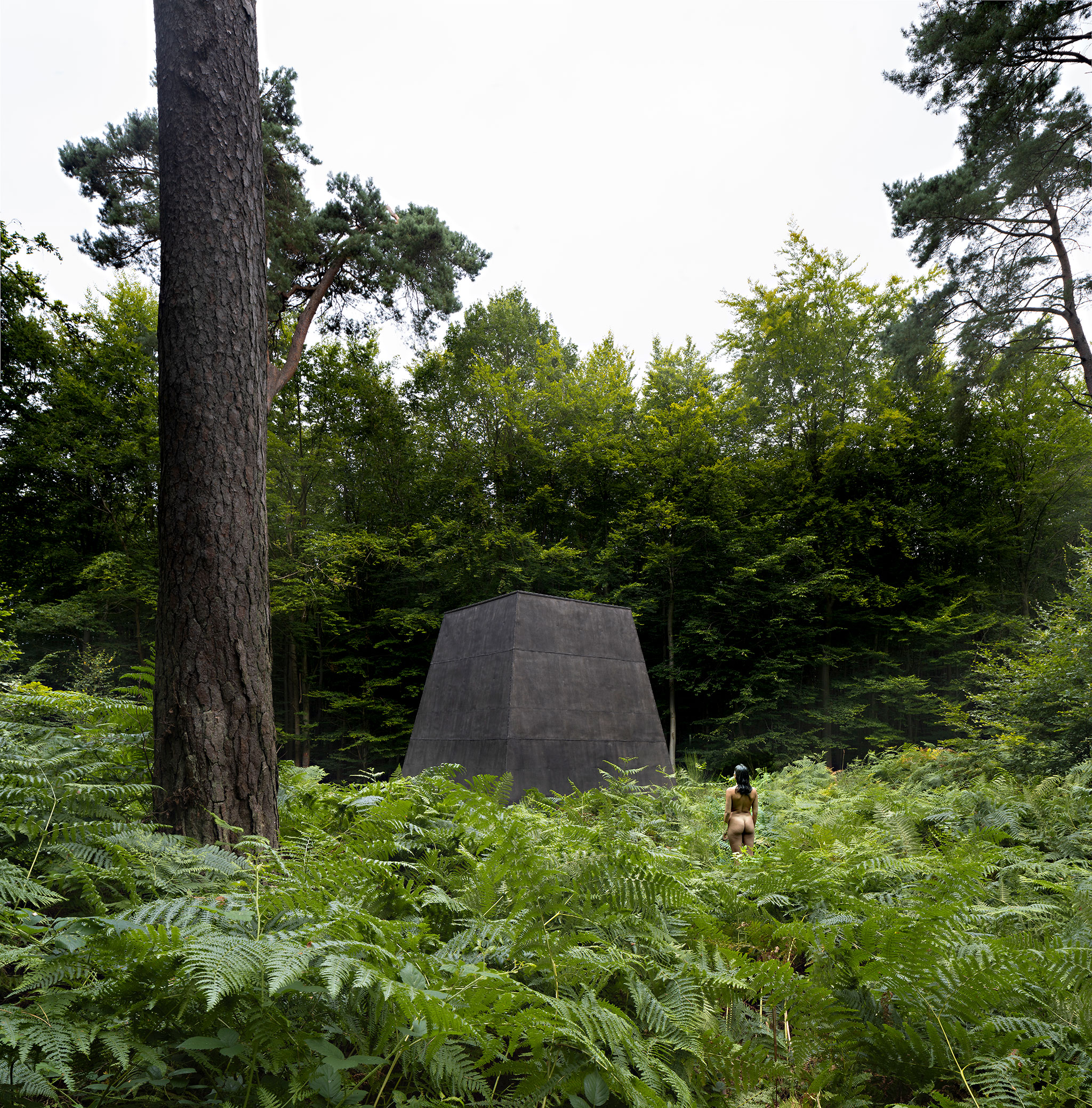 COMPLUVIUM by P + S Estudio de Arquitectura. Photograph by Javier Callejas.
