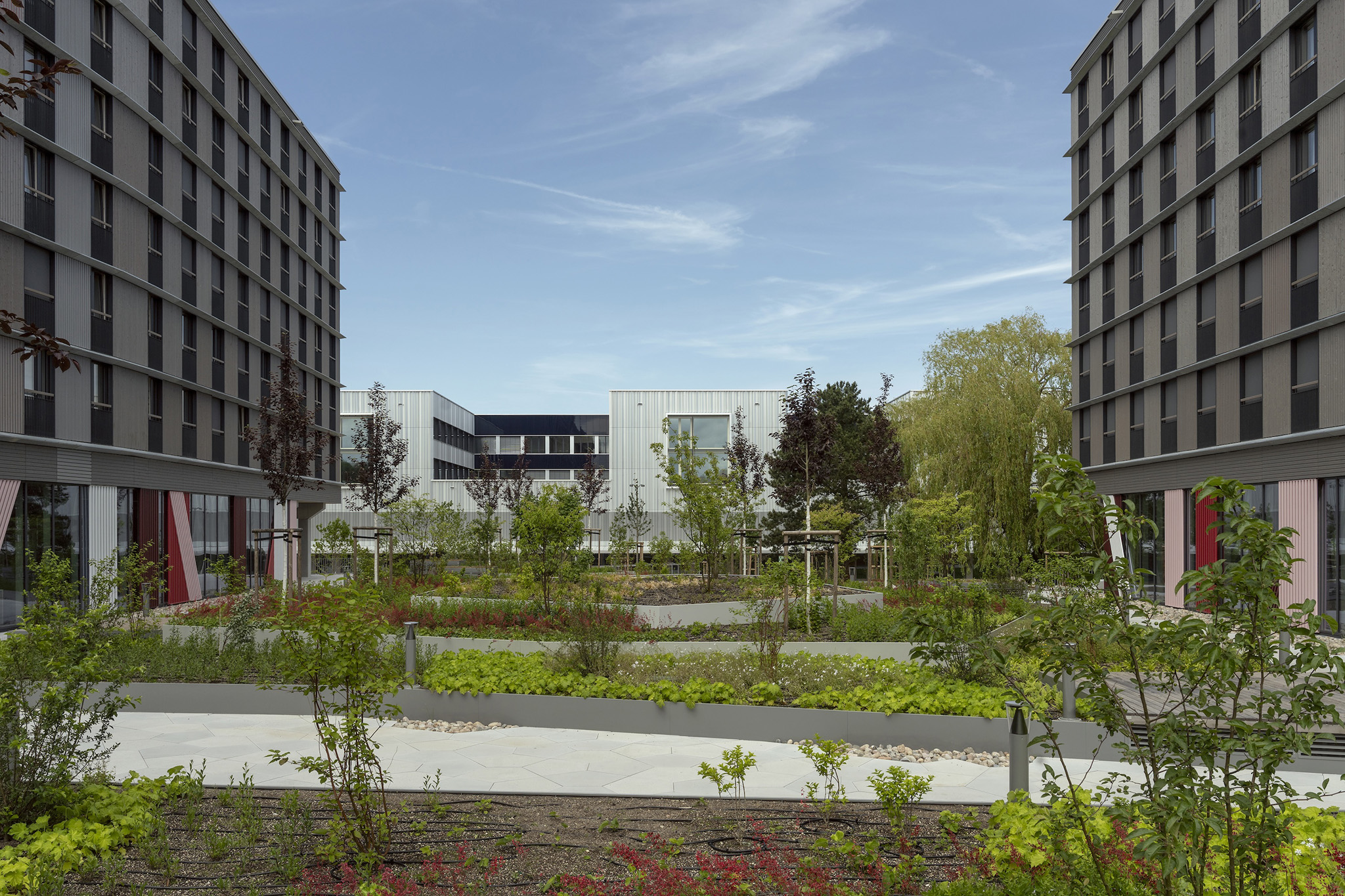 Federal University of Public Administration by Sauerbruch Hutton. Photograph by Jan Bitter.