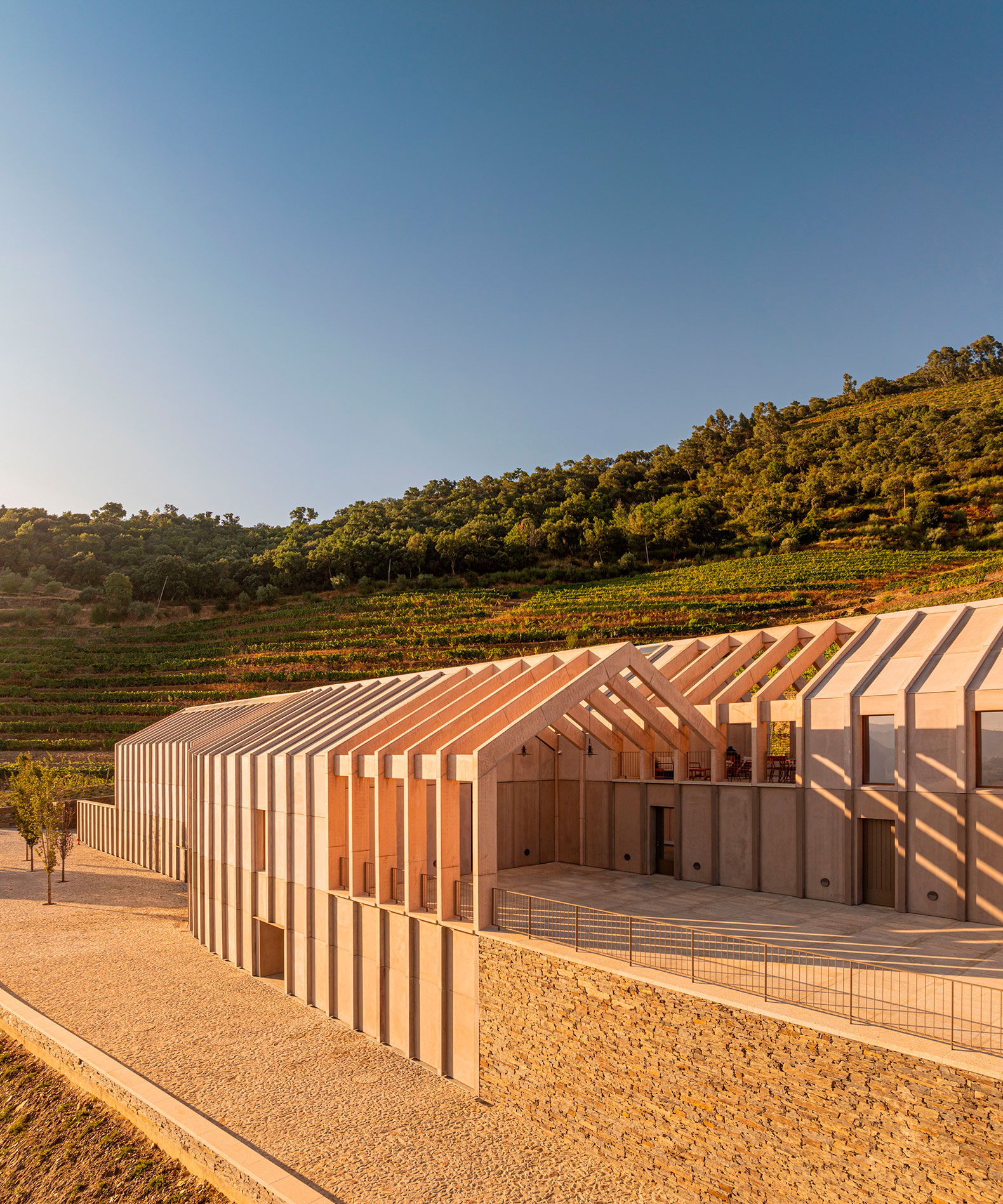 Bodega de Vinos de la Quinta de Adorigo por Atelier Sérgio Rebelo. Fotografía por Fernando Guerra.