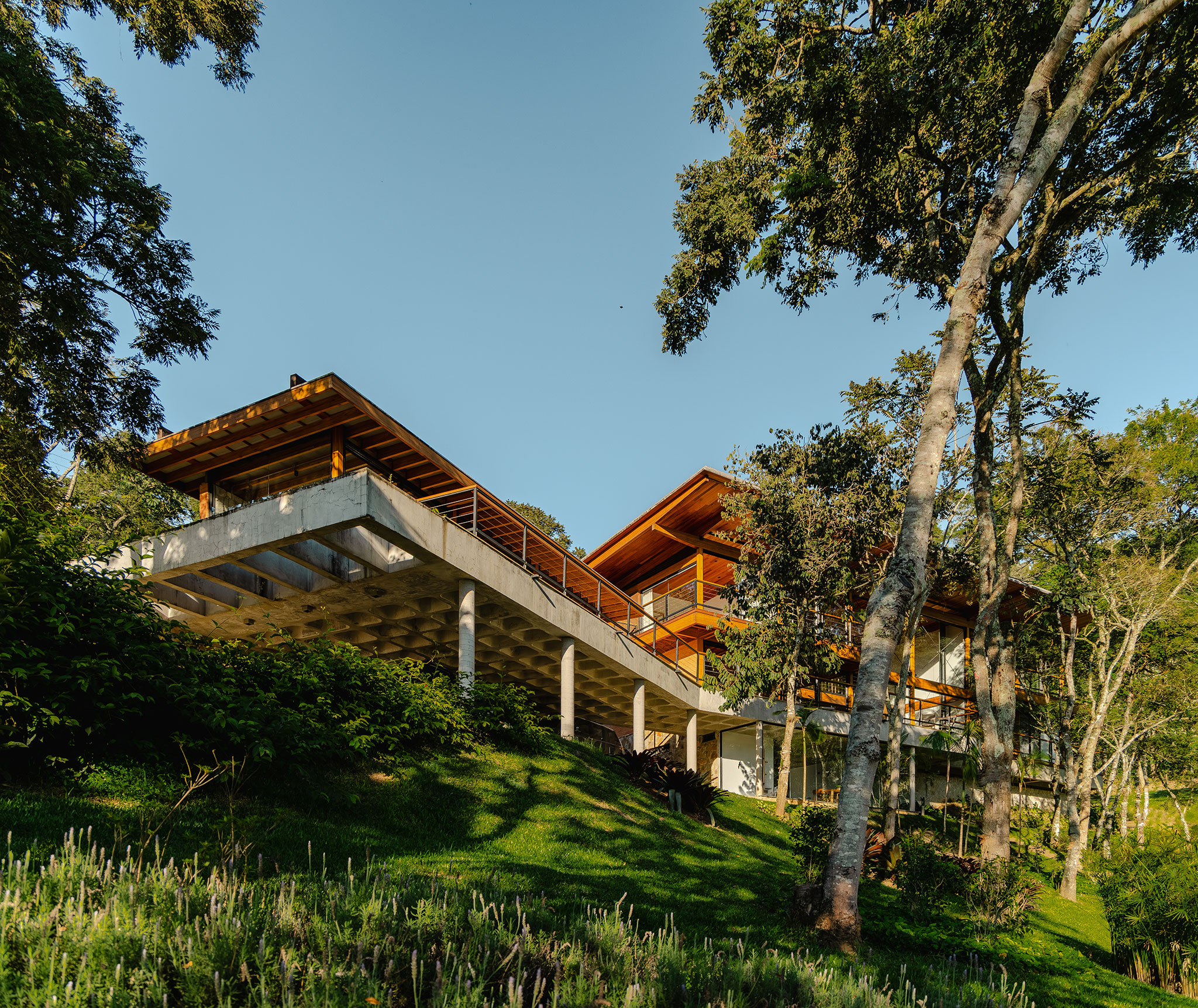 Pinhal House by Cornetta Arquitetura. Photography by Manuel Sá.