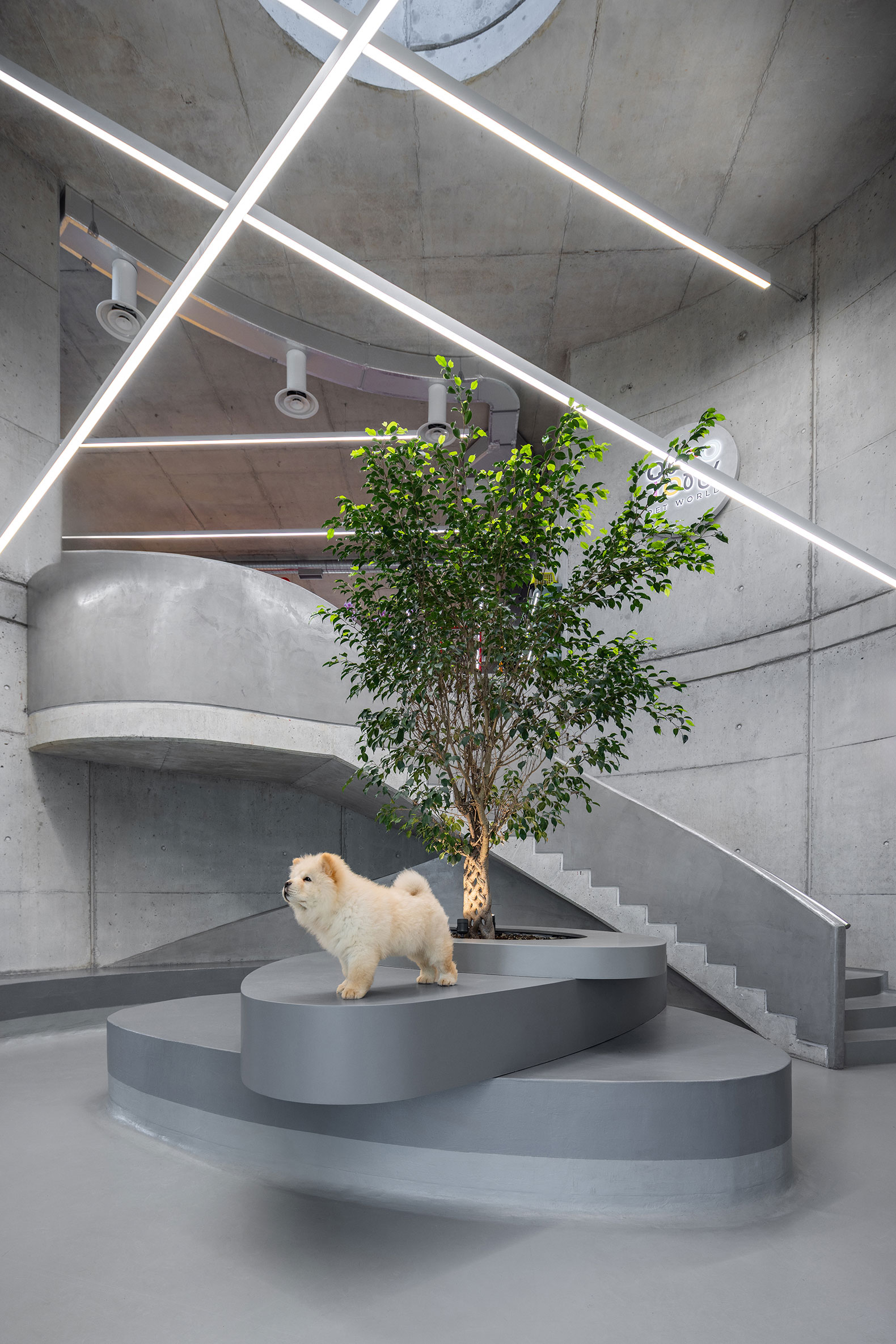 VET HOSPITAL by Davide Macullo Architects. Photograph by Leonit Ibrahimi