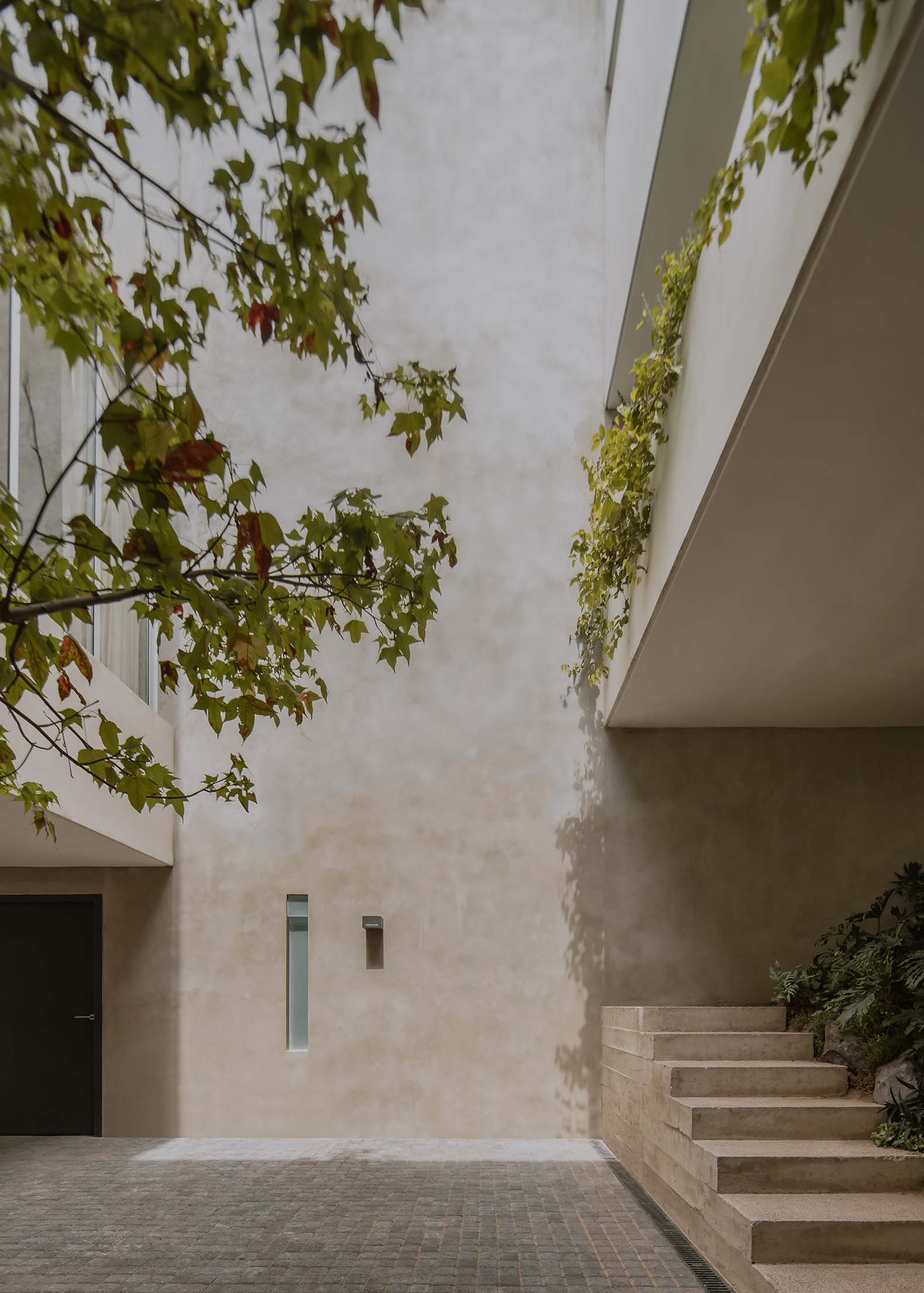 Casa de la Cañada por Escobedo Soliz. Fotografía por Ariadna Polo.