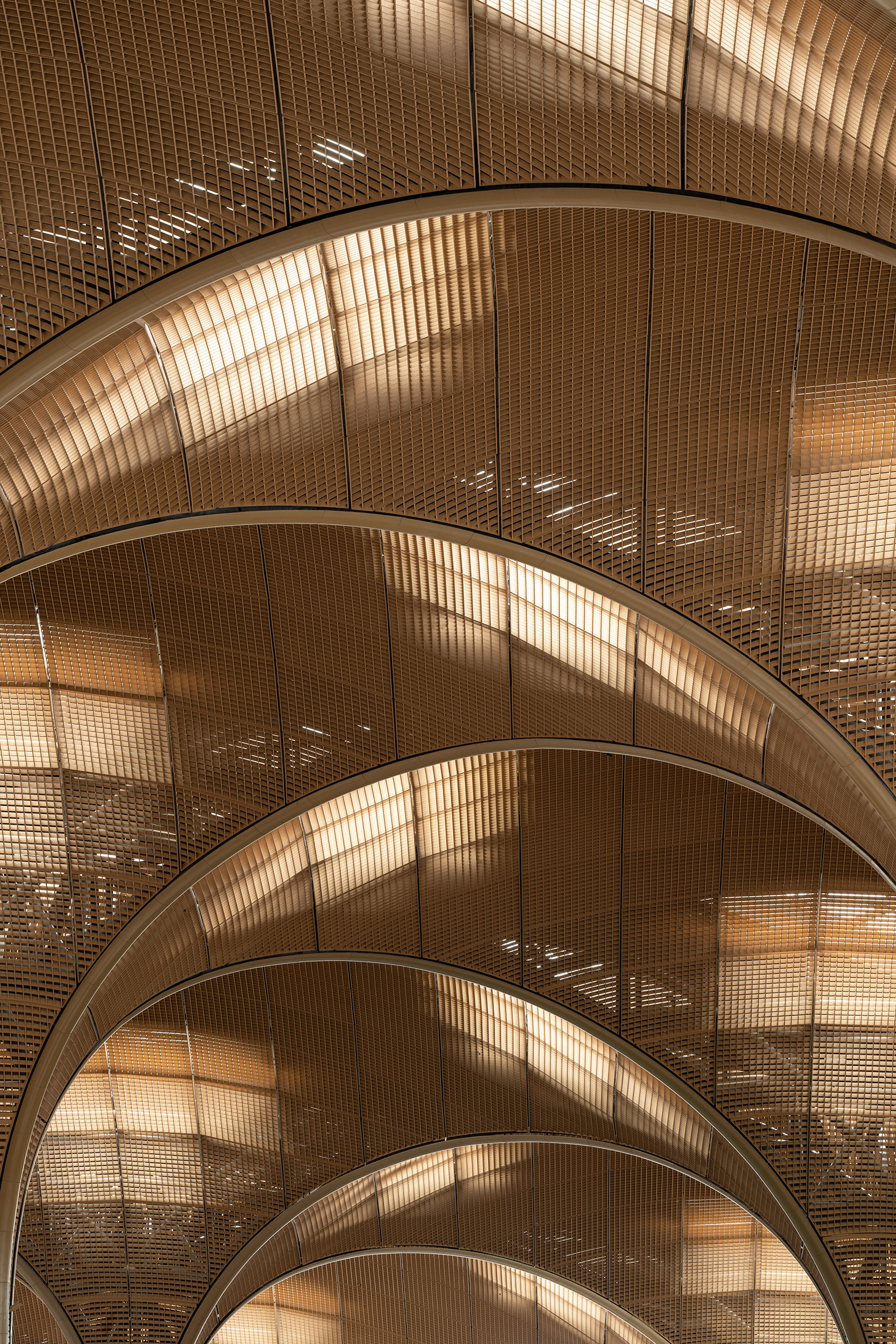 Techo International Airport by Foster + Partners. Photograph by Nigel Young.  Aeropuerto Internacional Techo por Foster + Partners. Fotografía por Nigel Young. 