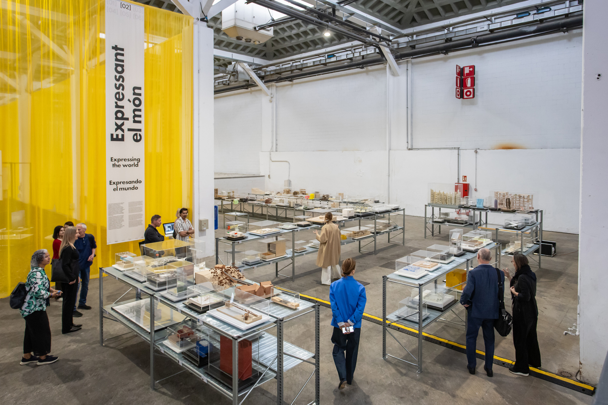 "What is this? A spa, a gym, a zoo of small animals?". The Fundació Mies van der Rohe exhibits its collection at the Palau Victòria Eugènia. Photograph by Anna Mas.