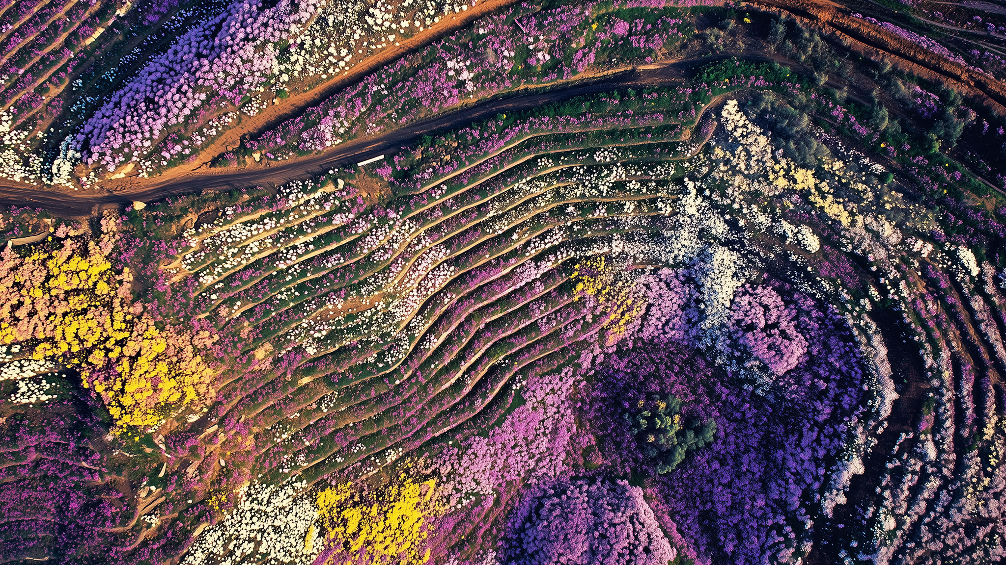 In Other Worlds. Film still from After the End (2024) by Liam Young. Image courtesy of the artist.